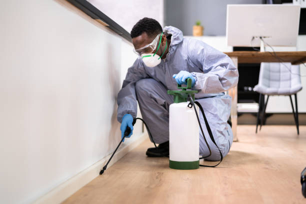 Best Residential Pest Control  in Costa Mesa, CA